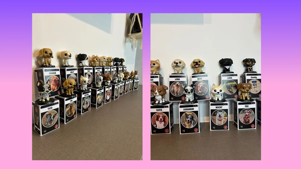 Coleção de Funkos PET personalizados com caixas YuYu Studio